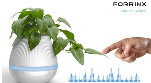 �{������CE�J�C